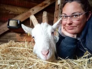 La Bergerie chevre 2
